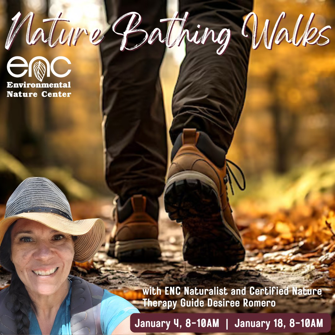 Environmental - 🌿 Unplug & Recharge in Nature 🌿 Join us on January 4 ...