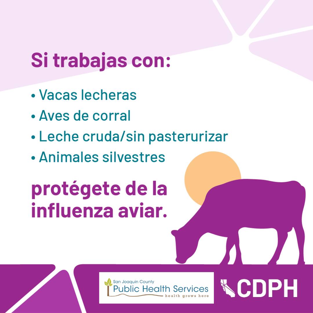 La influenza... - San Joaquin County Public Health Services | Facebook