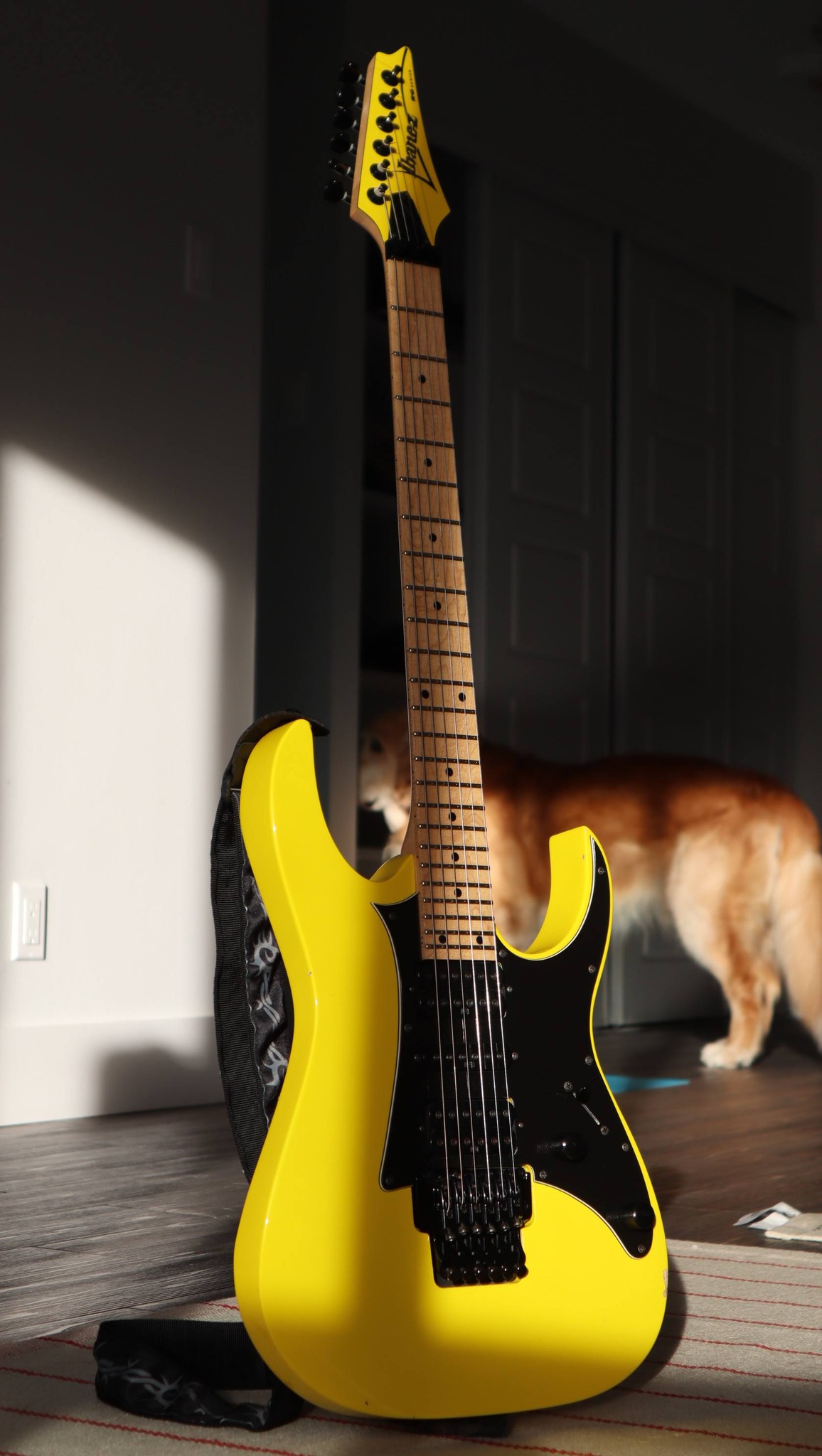 Ibanez RG350M guitar review after Floyd Rose adjustment