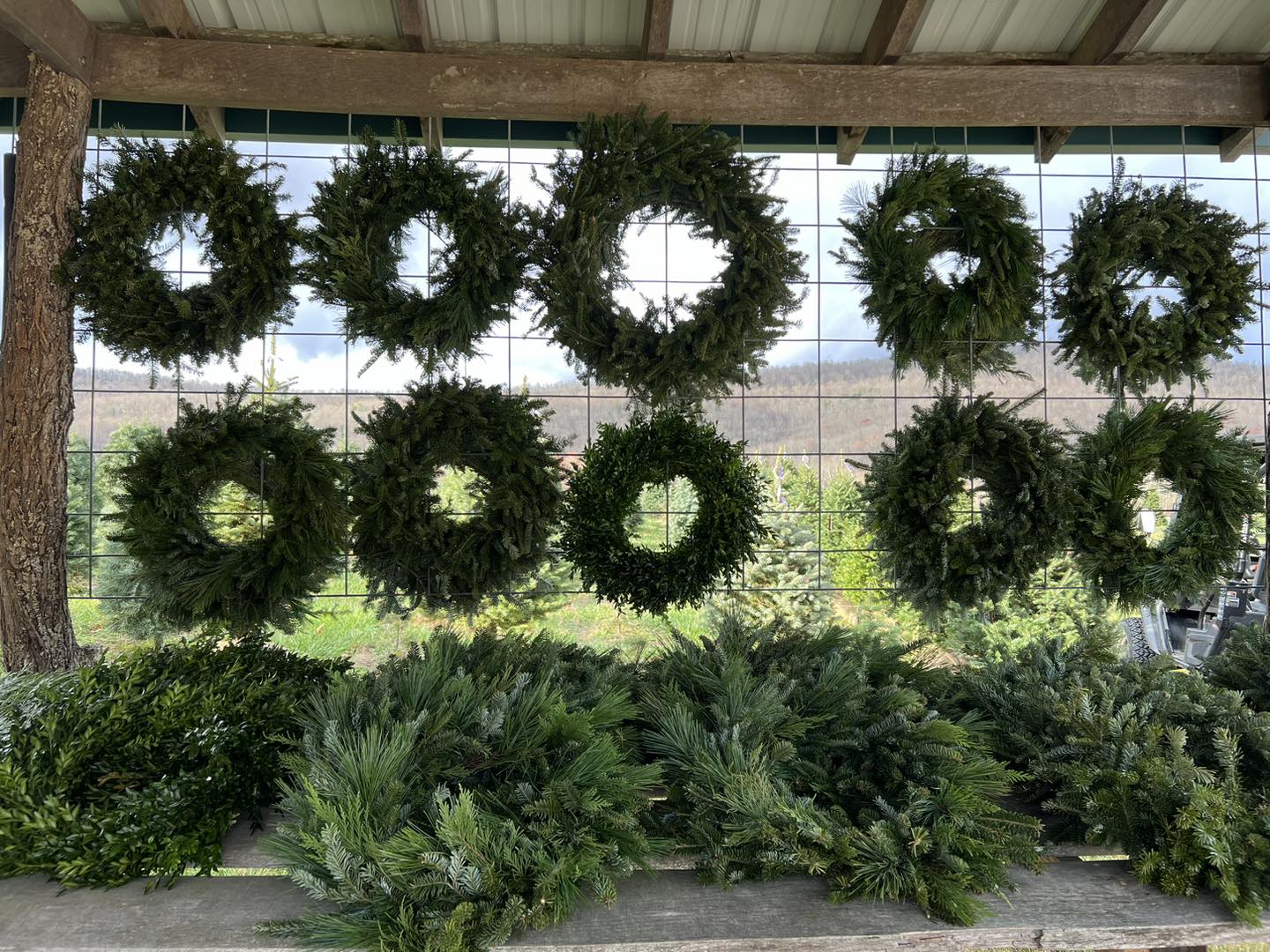 Spruce Ridge Tree Farm | Newport VA