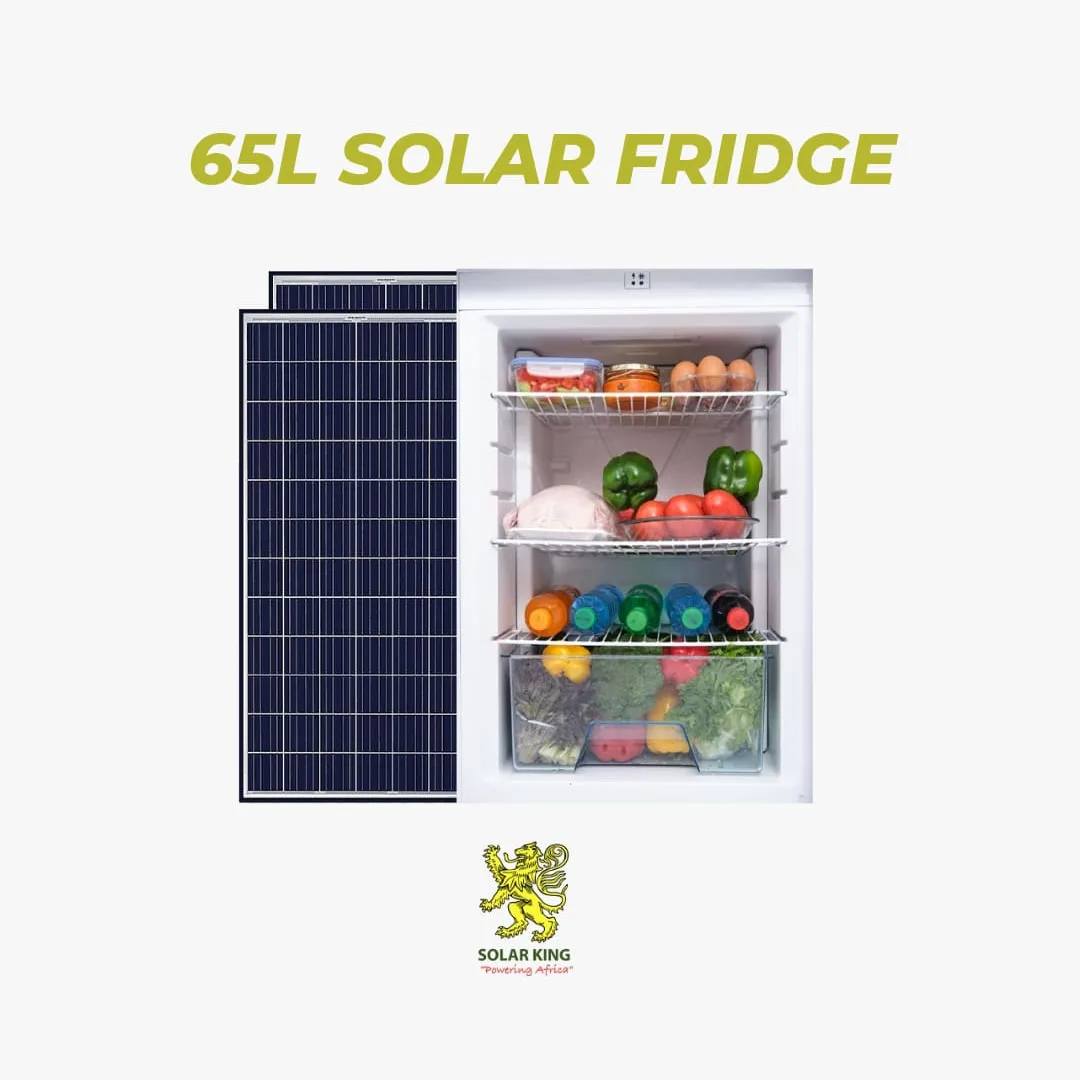 Solar King - 🌞 ️ Keep your essentials cool, anytime,...