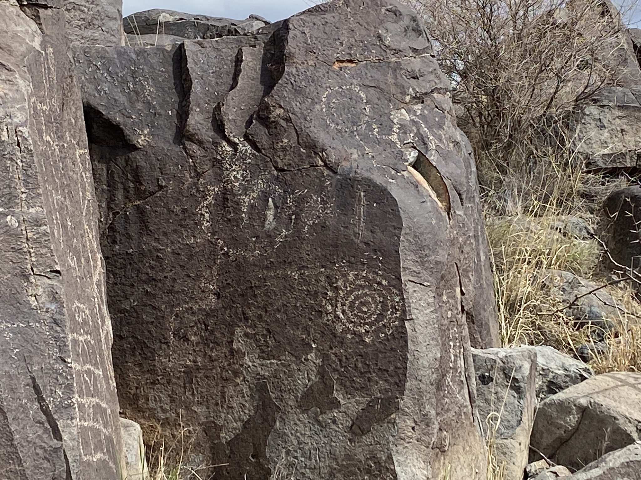 Wandering - 🏜️ Three Rivers Petroglyph Site – Tularosa, NM Home to ...
