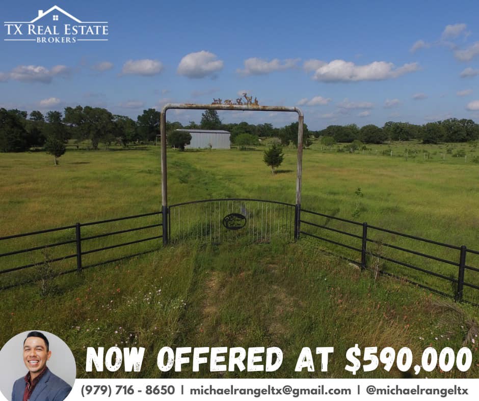 Michael Rangel - Real Estate Agent