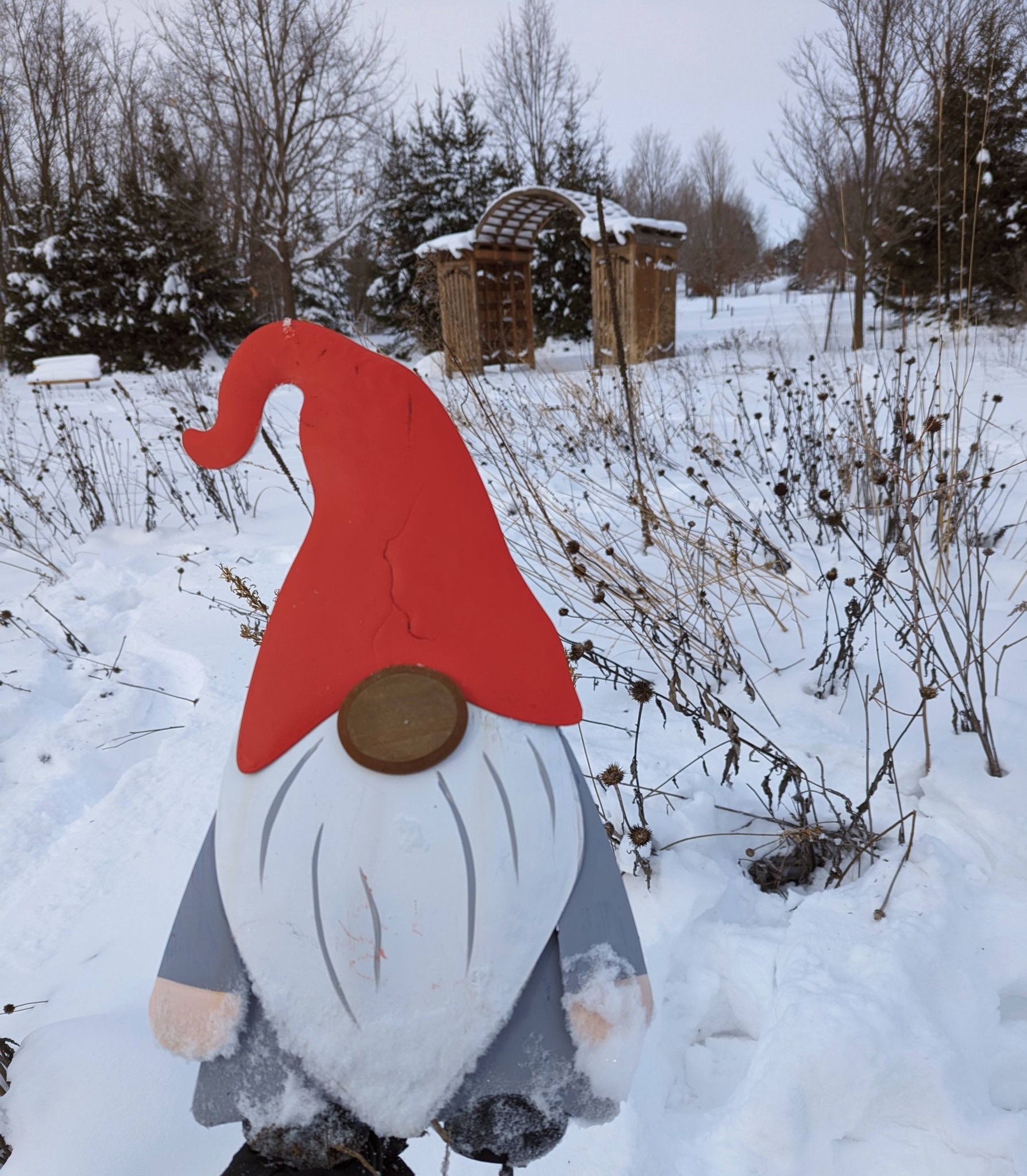 Winter Trails Gnome Hunt at Pinicon Ridge Park