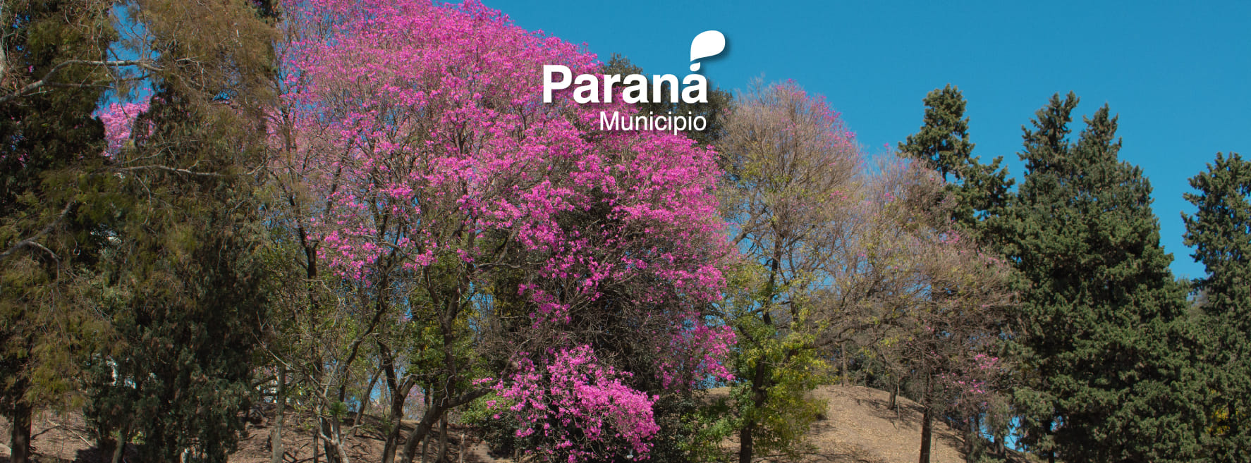 Sandra Akerman - Abrazos primos! | Facebook