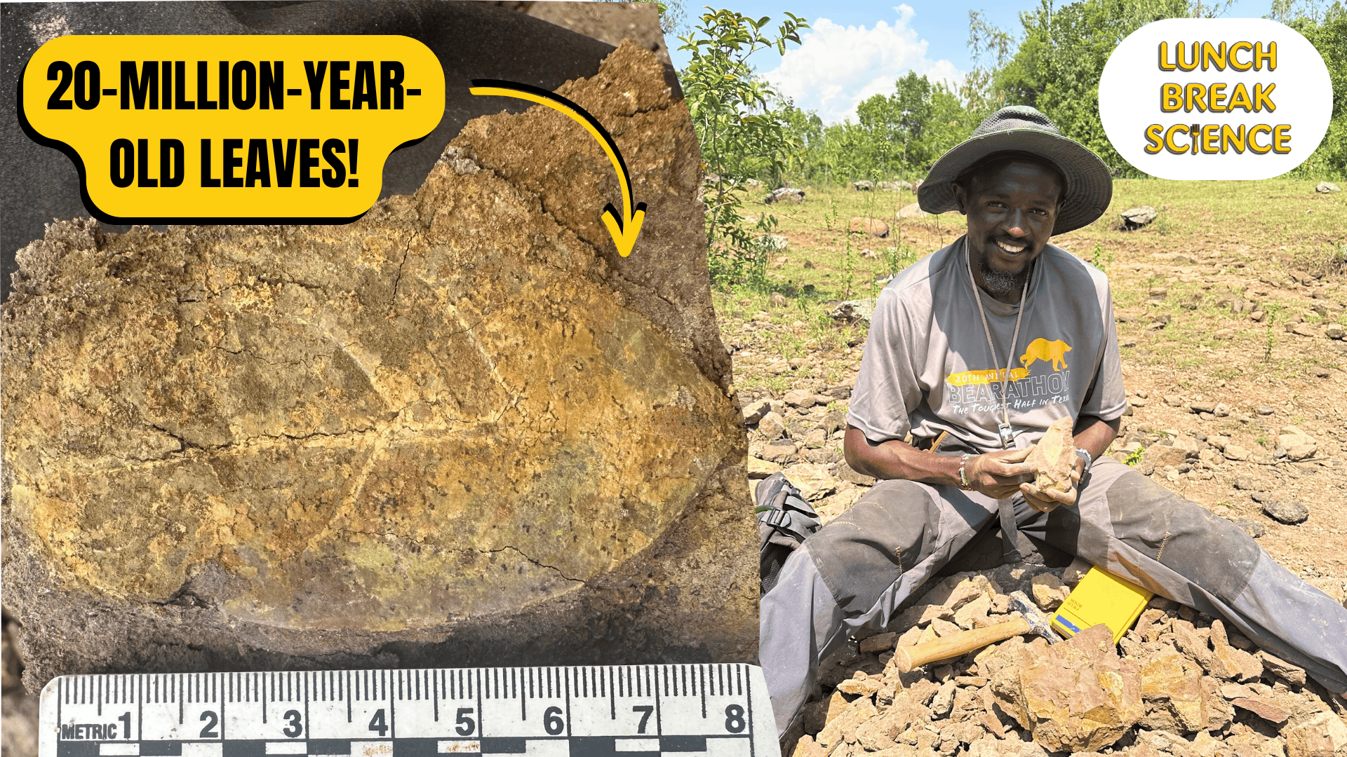 Baylor Geosciences | Waco TX