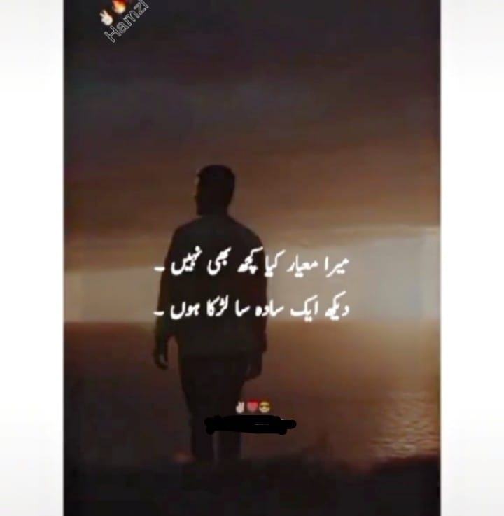 Ali Raja