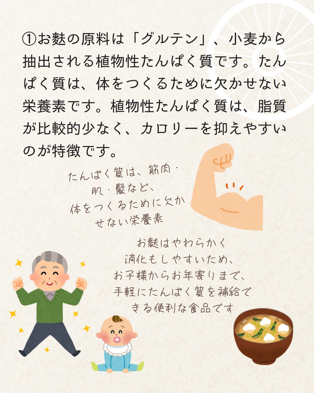 お 麩 栄養