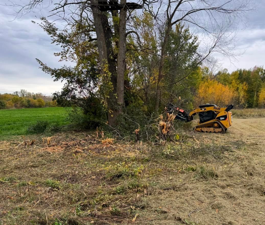 R&R Customs LLC Tree Removal & Stump Grinding | Brillion WI
