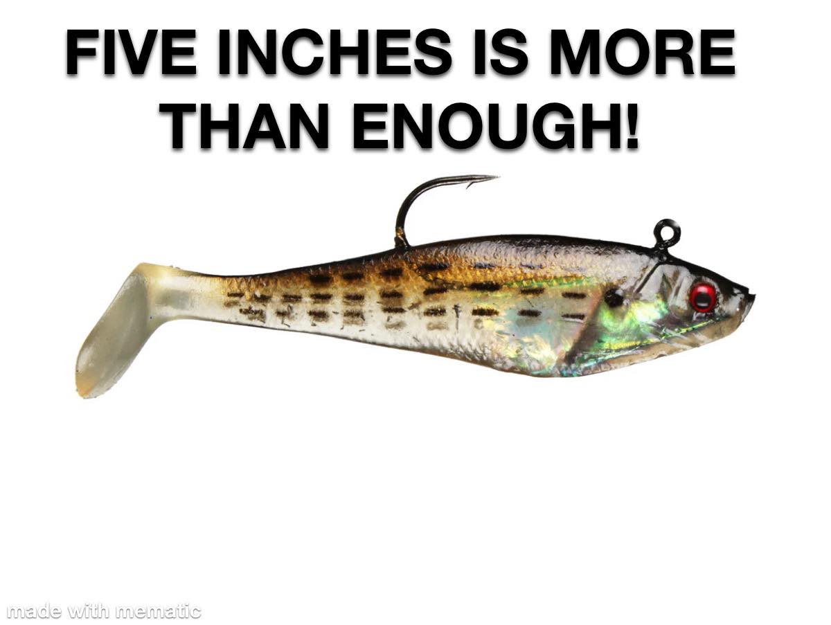 coastal fish lures Tripquips Saltwater Jigs Fishing with Ultra-Sharp Hooks, Saltwater Spoon Lure for Tuna Salmon Grouper, Sea Fishing Jigging Lure, Trolling Spoon for Bass Fishing-15g-5PCS : Sports & Outdoors Realistic Colors to Attract hunting-and-fishing-depot 13 Fishing Inception Sport Hook Color:Brush Nickel