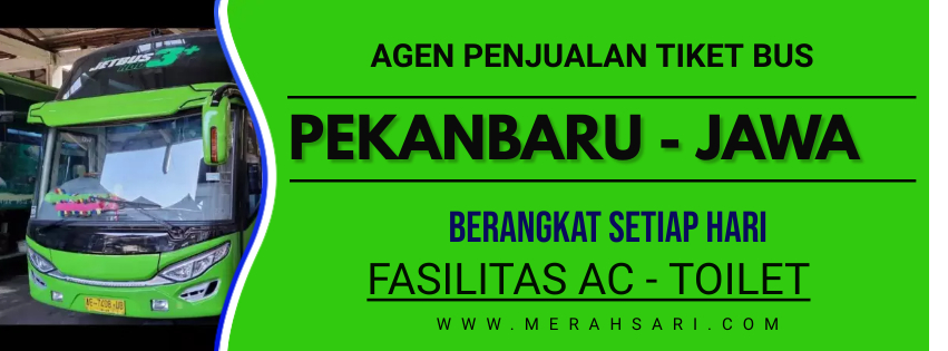 HP/WA O85274649709, Bus Dumai Semarang, Po.Sumatra Raya | Pekanbaru