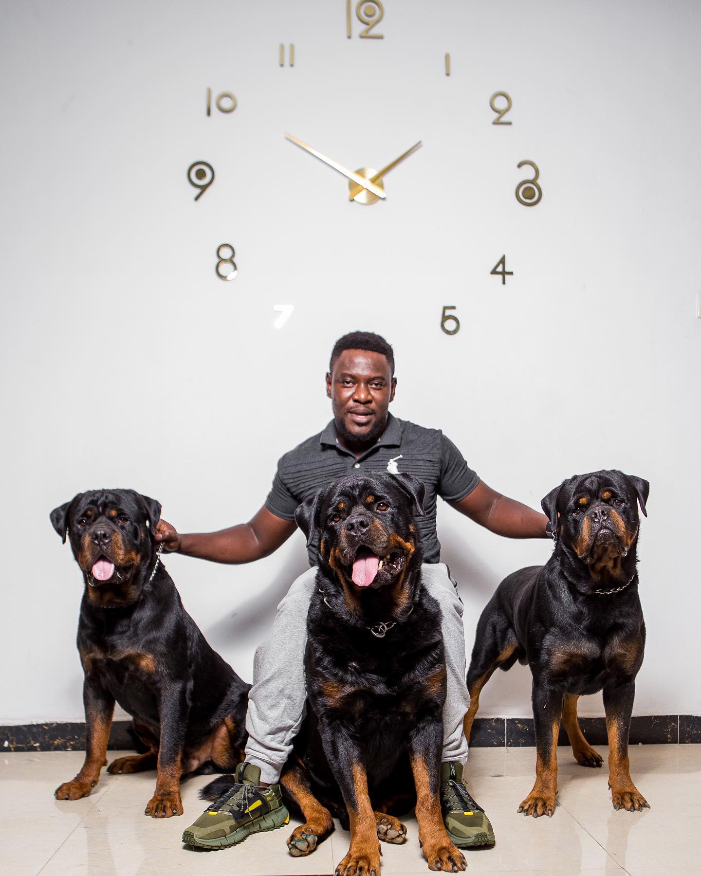Then, humankind and nature... - Haus Of Vigilio Rottweilers | Facebook