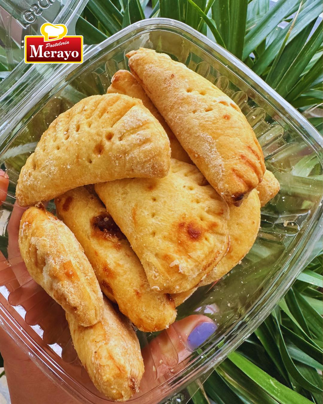 Pastelería Merayo | San José