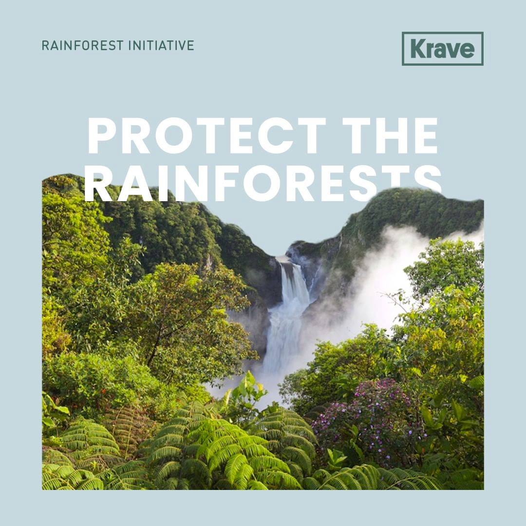 I'm fighting to #SaveTheRainforest with Vivienne Westwood! Join us