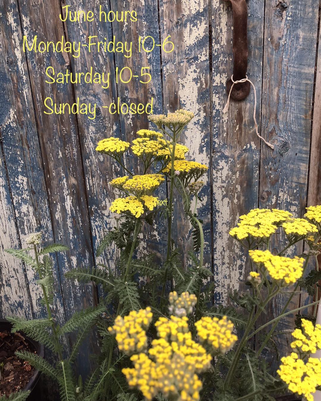 Rustic Roots Greenhouse | La Crete AB