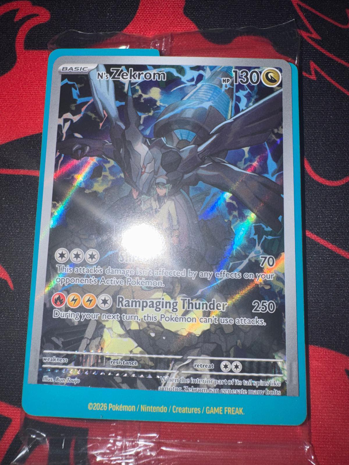 mega pokemon card collection Pokémon Mega Feraligatr ex Collection Box
