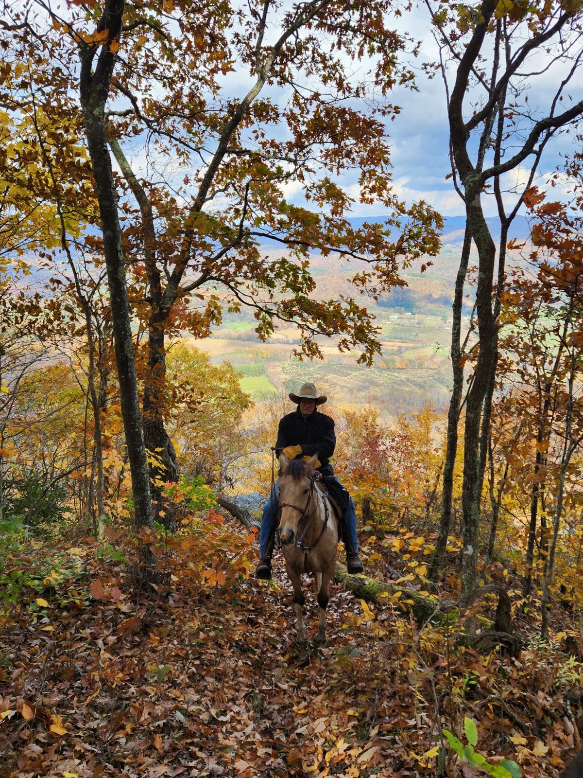 🍂🍁🐴 VOTE for your favorite fall trail riding picture by simply clicking ...