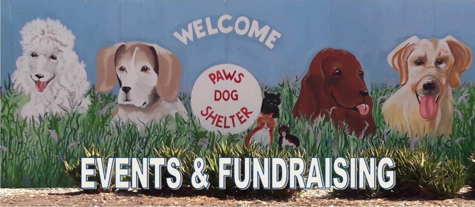 PAWS Dog Shelter - Events and Fundraising | Facebook
