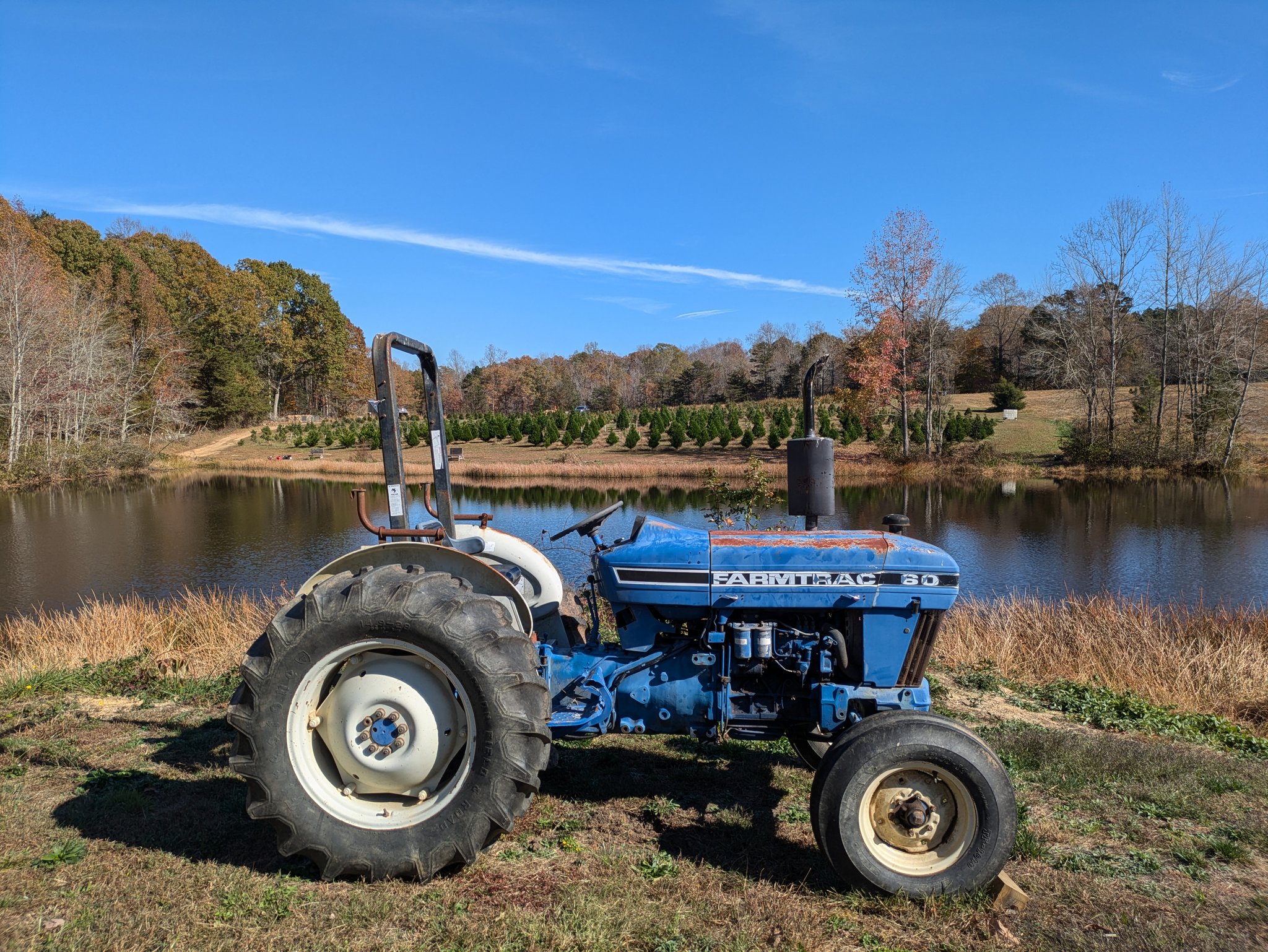 Woods Tree Farm | Amelia Court House VA