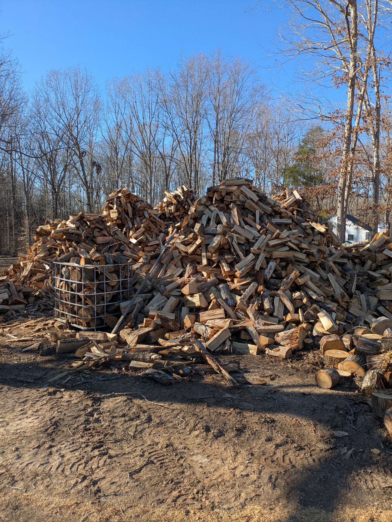 Woods Tree Farm | Amelia Court House VA