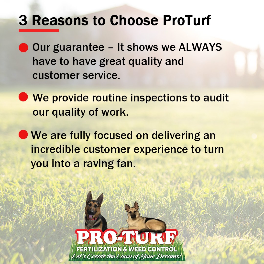 Pro-Turf