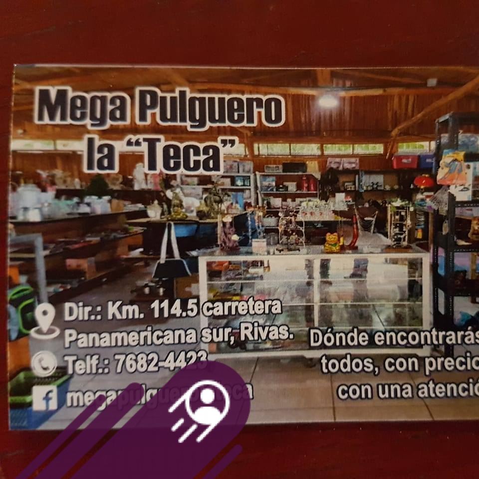 Pulguero Teca