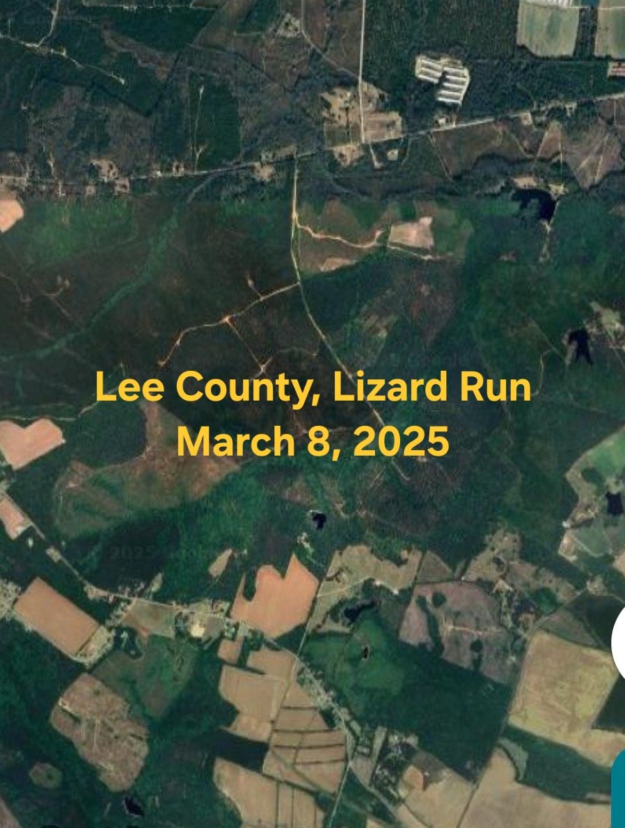 Lizard Run Endurance Ride | Is Lizard Run for sure going to happen in ...