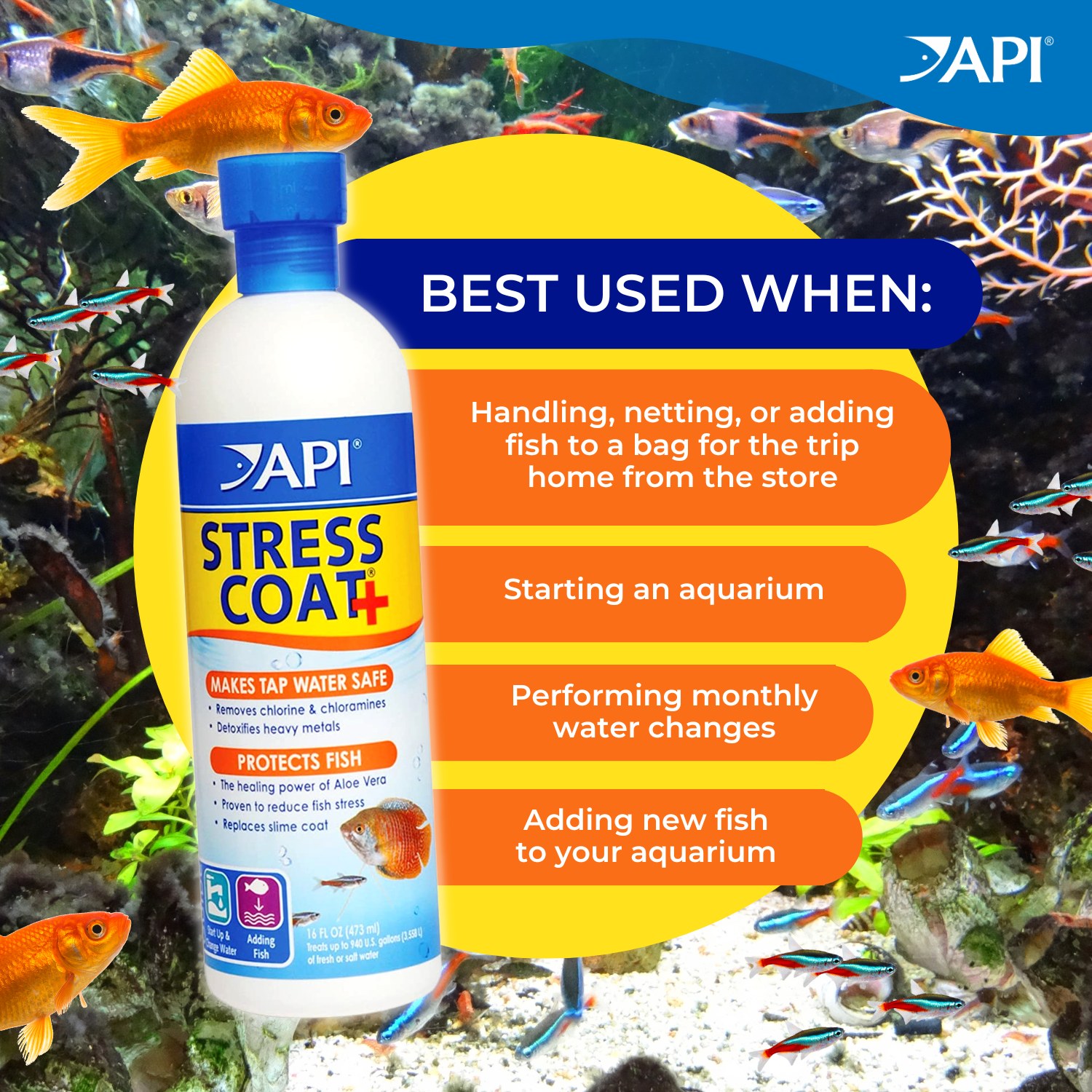 API - Bringing new fish home? Use API Stress Coat to make tap water ...