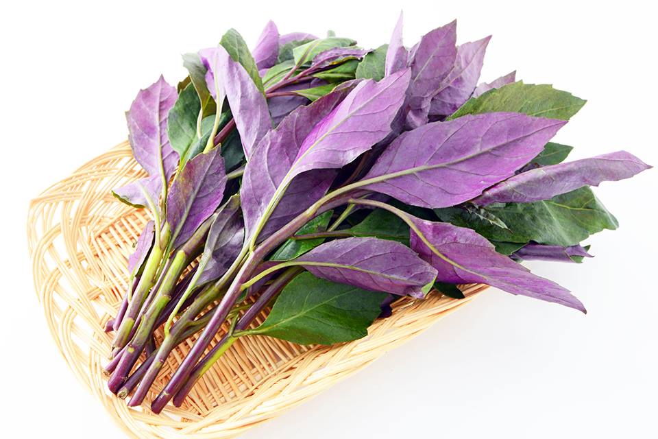 Suizenjina is a type of spinach and... - Visit Okinawa Japan | Facebook