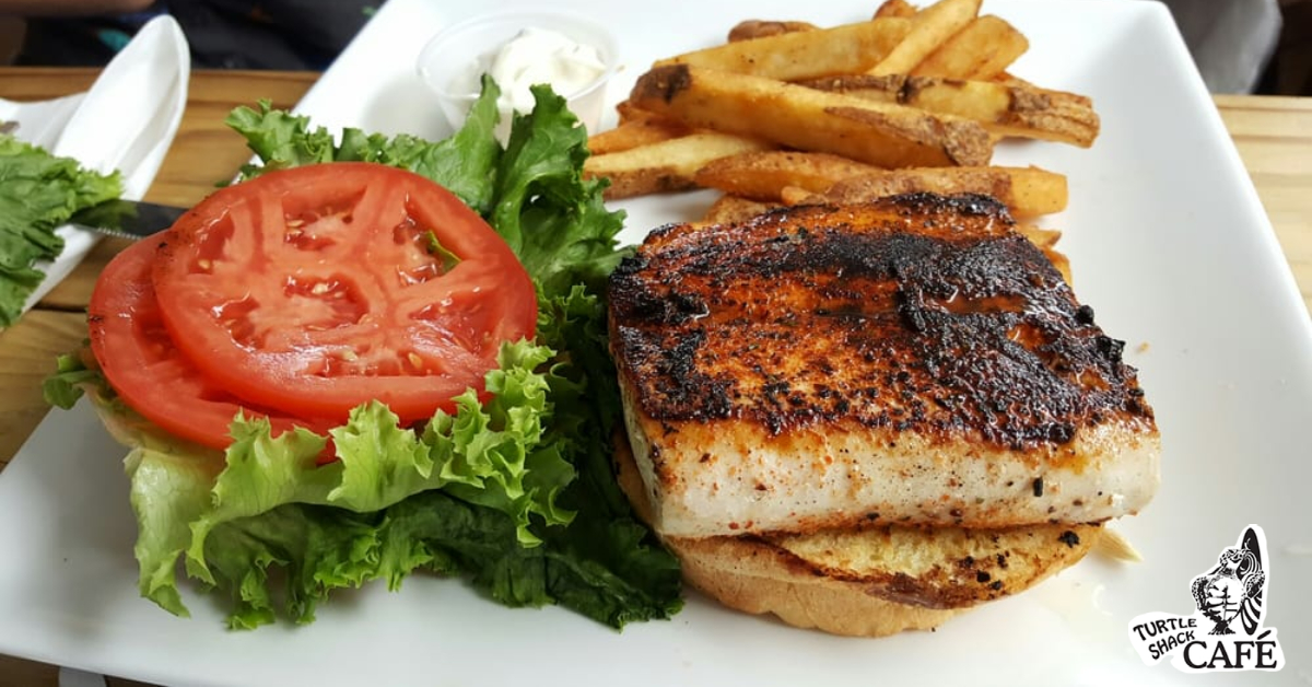 🐟🥪 Elevate Your Taste Buds with Our... - Turtle Shack Café | Facebook