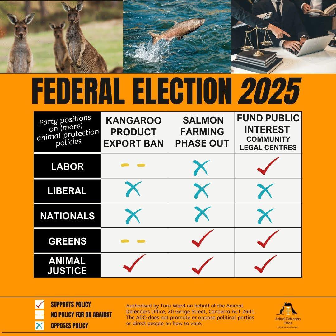 Animal Justice... - Animal Justice Party Newcastle-Hunter NSW