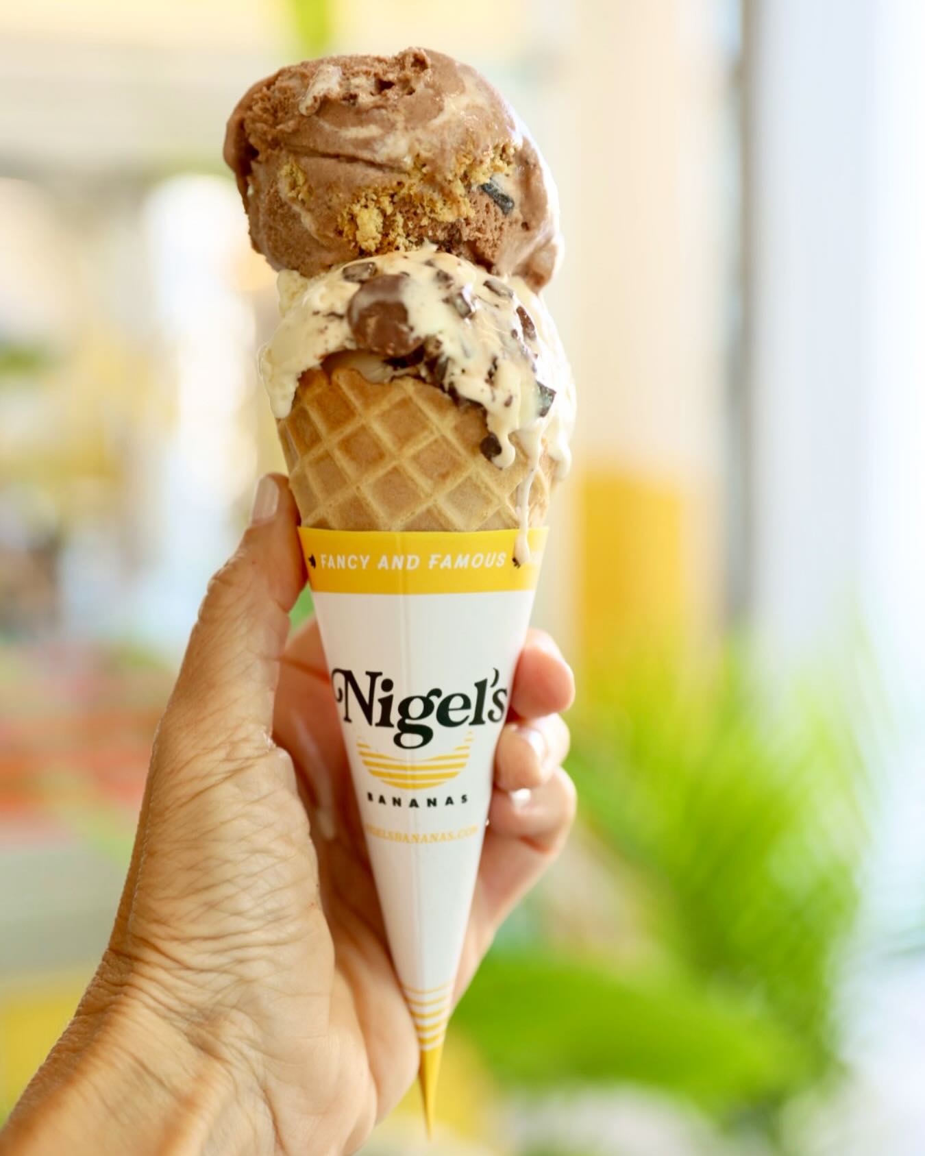 Nigels - We always have the most delicious Gelato available at ...