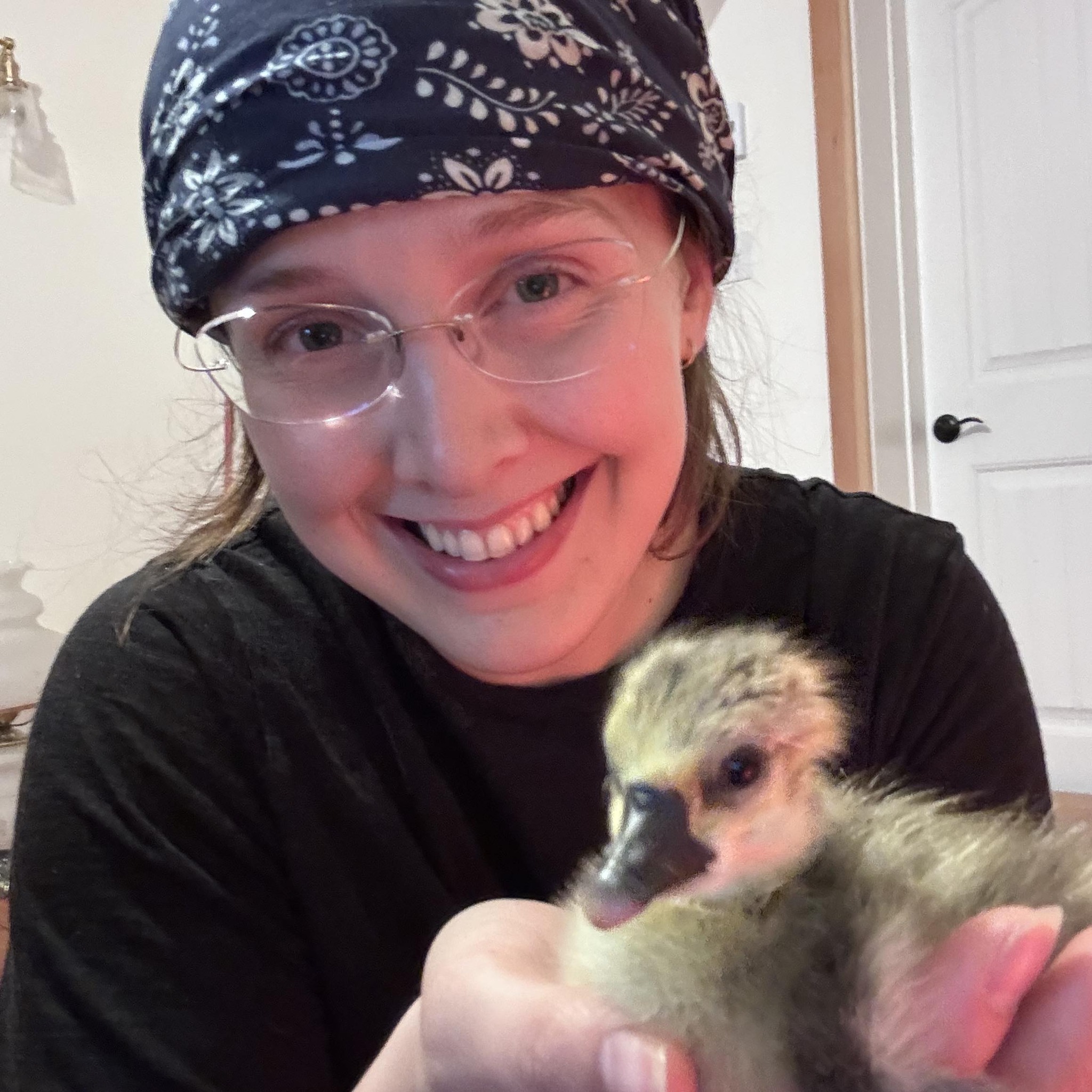 Goose bill injury? | Facebook