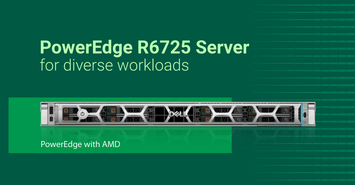 Dell - PowerEdge R6725: The backbone for high-demand tasks. Adaptable ...