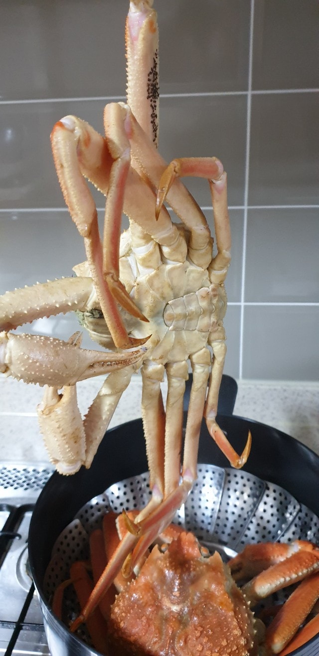 삼척대왕대게 - 🦀🦀금주 수입대게_마가단(선어) 수요일 통관 소식 있습니다. 💥50kg 한정 수량으로...