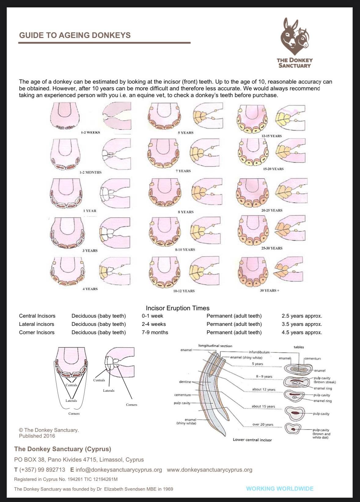 Aging guide comparison! Did you know the donkey 🫏 ages differently with ...