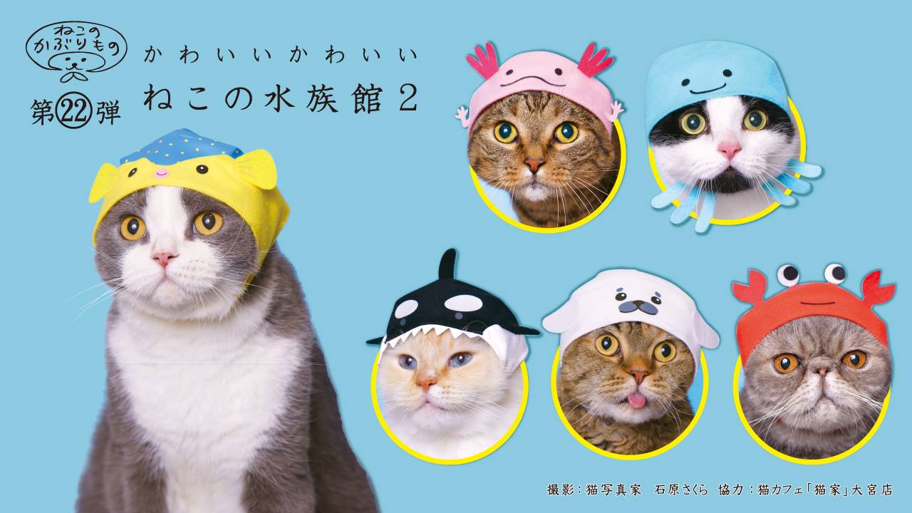 664 かたう シーグラス アート工作キット ラブラブわんこ♡＆小鳥 