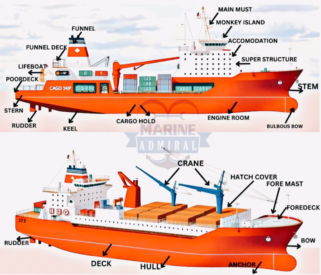 Marine Admiral - ⚠️⚓️ Ahoy, sea lovers! Ever wondered what... | Facebook