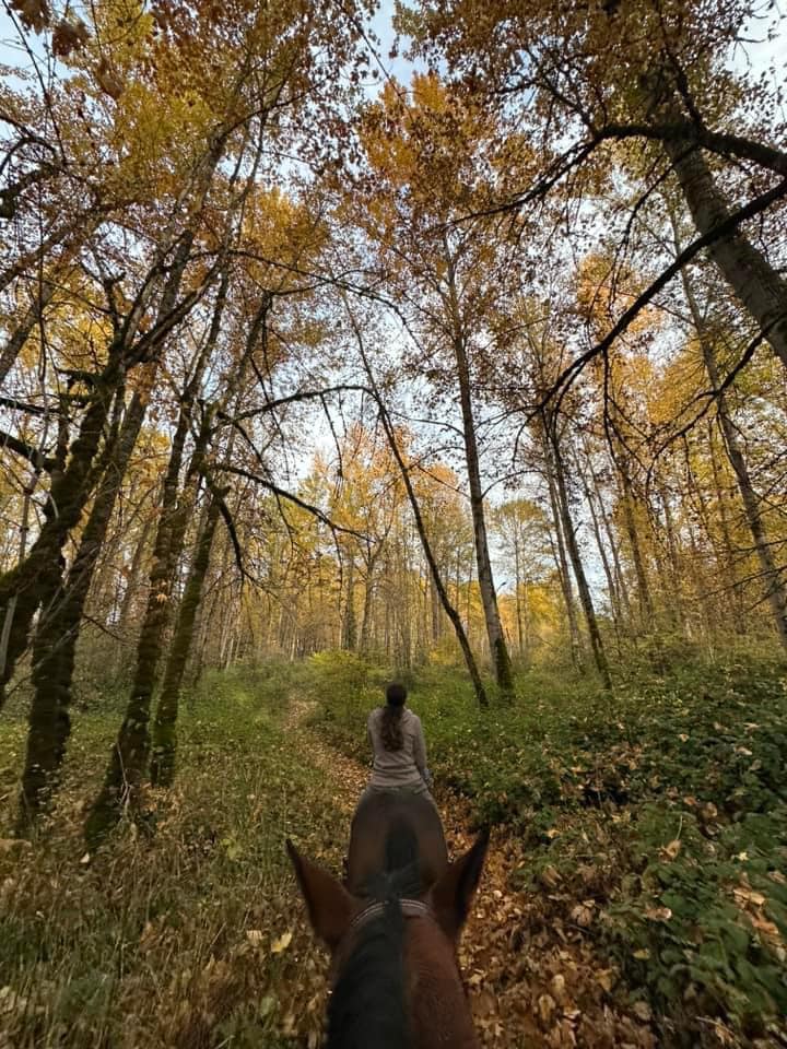 River Rock Ranch | Springfield OR