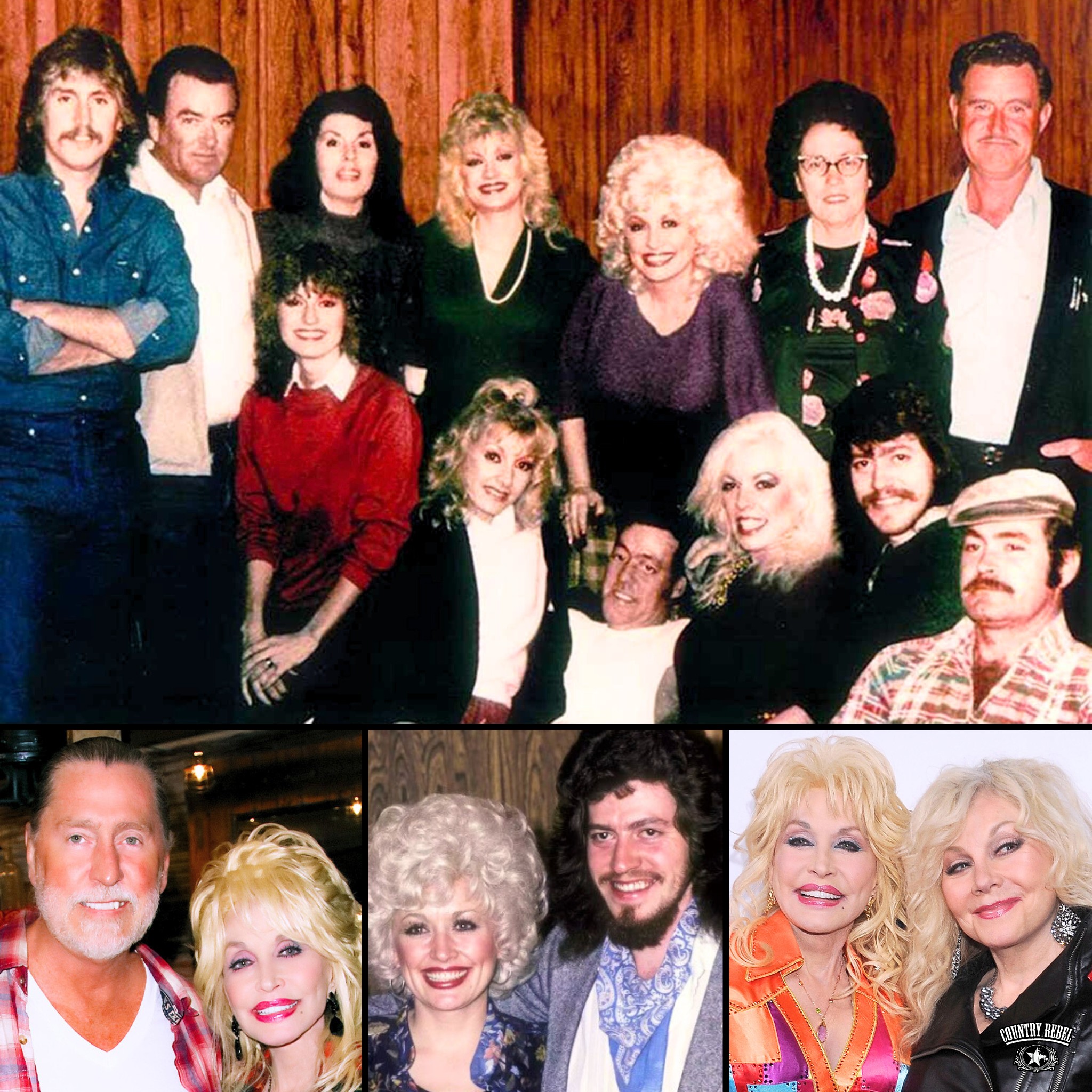 addicted-2-country-music-you-could-say-that-dolly-parton-comes-from-a