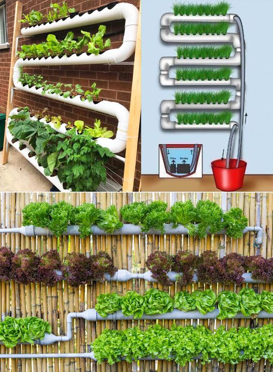 Tip - How To Make A DIY Hydroponics Growing System In 6 Easy Steps ...