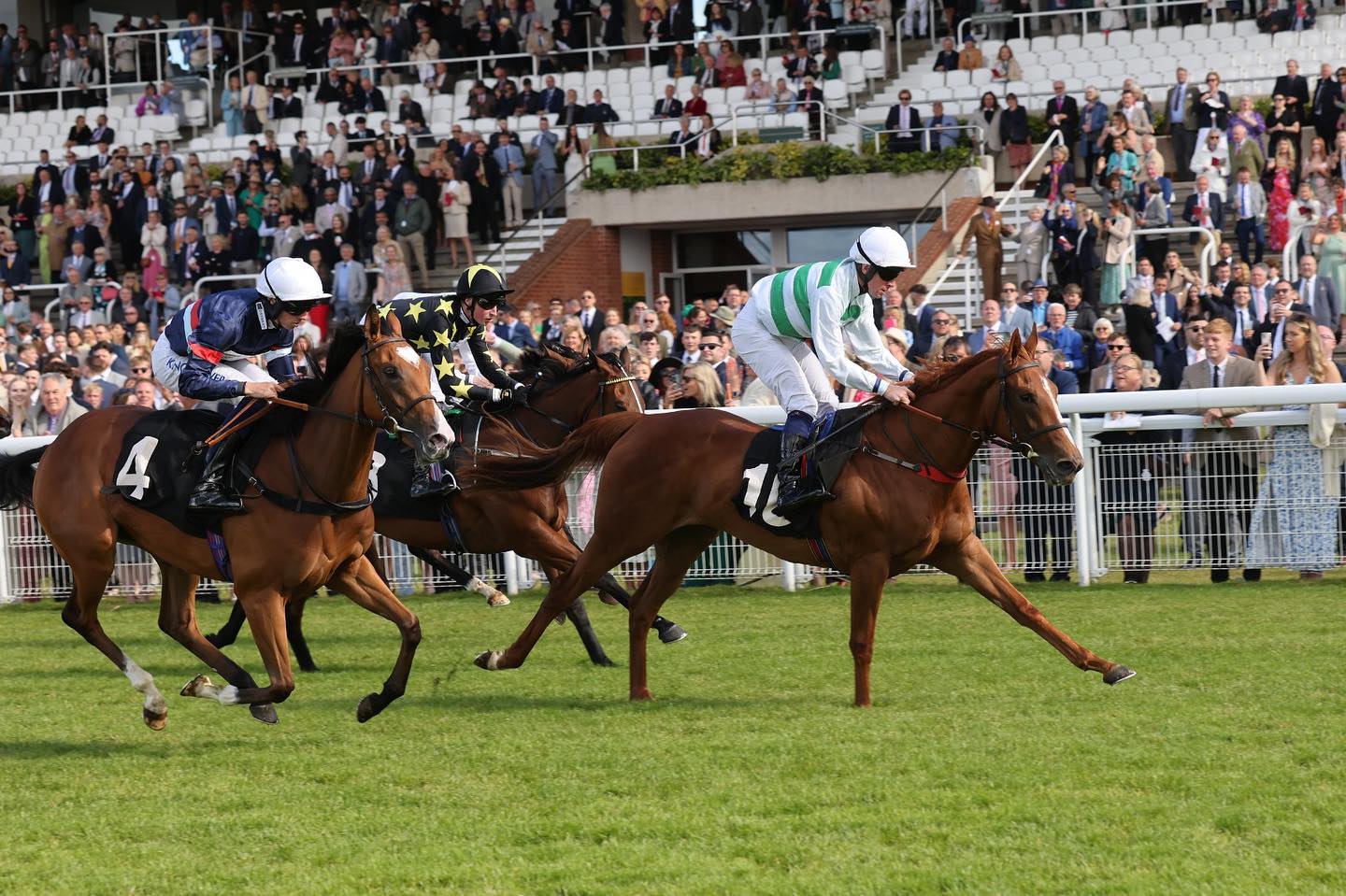 Marcus - 2yo winner 🥇 ALERTA MAXIMA wins at @goodwood_races at the ...