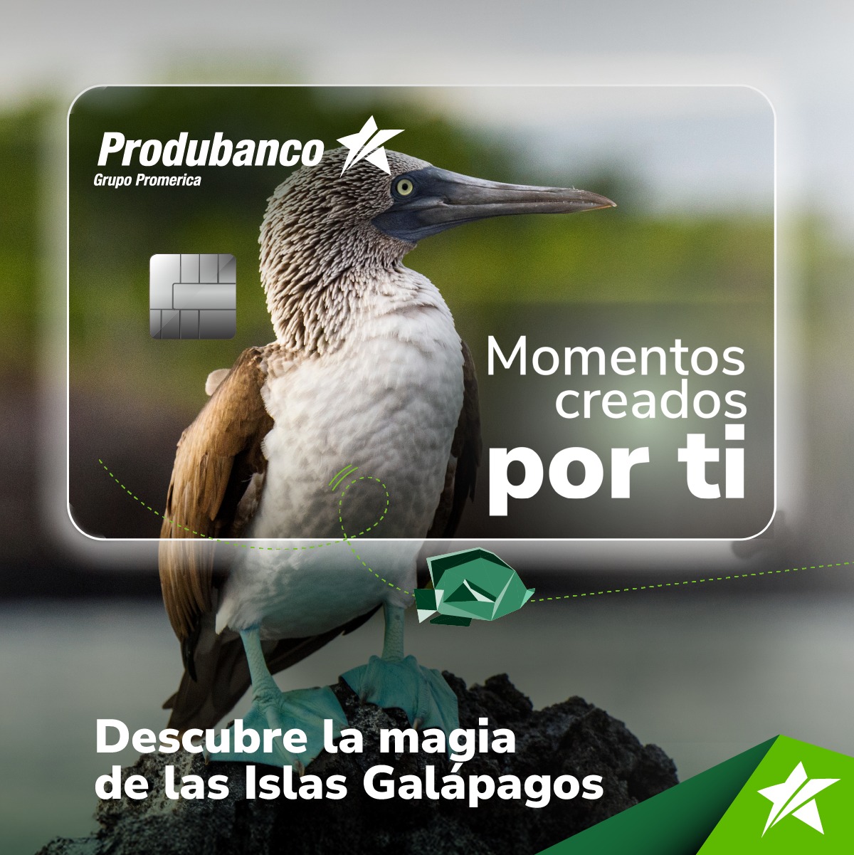 🌎¡Descubre Galápagos y sé... - Produbanco - Grupo Promerica