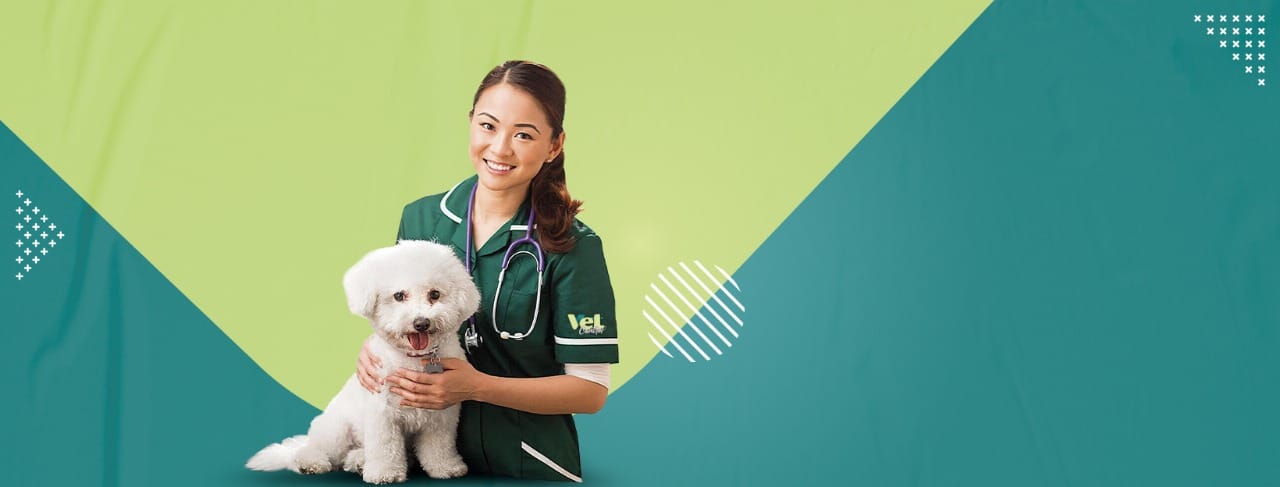 Vet Control