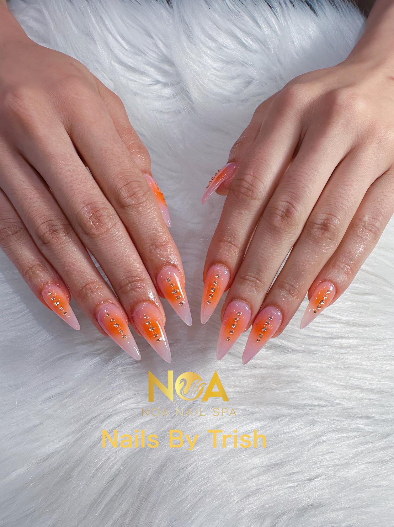 Noa Nails Spa | Concord NC