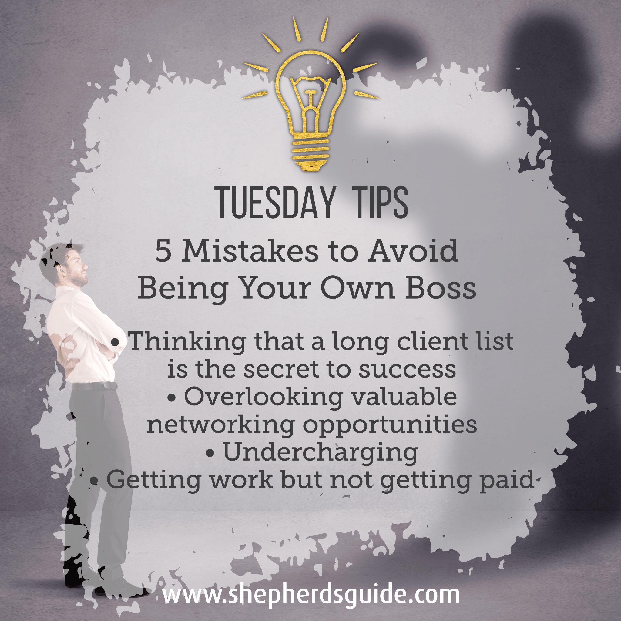 Tuesday Tips– 5 Mistakes... - The Official Shepherd's Guide | Facebook