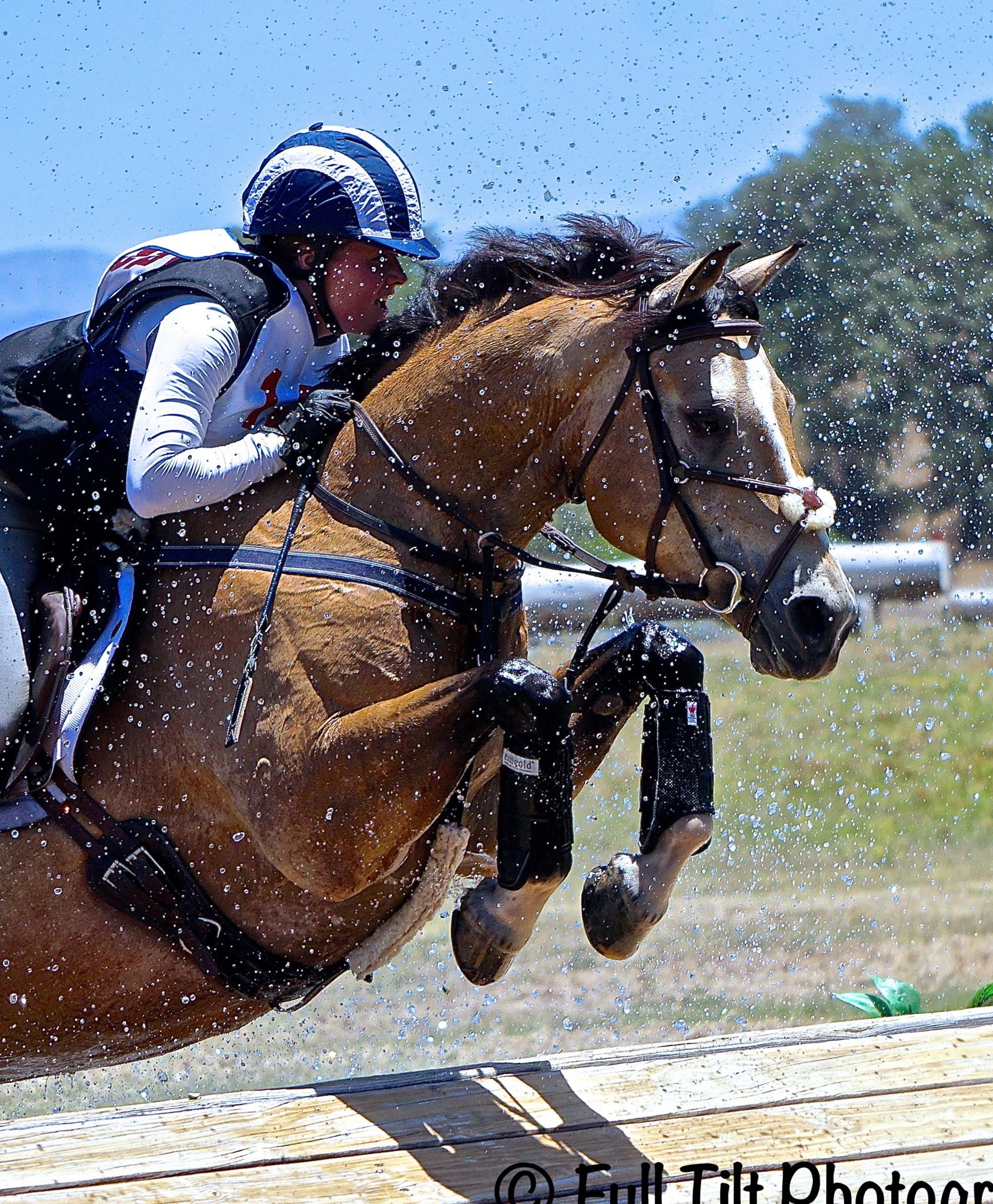 Rood & Riddle Equine... - Rood & Riddle Equine Podiatry