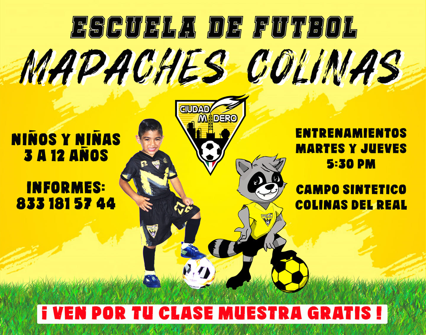 CEFOR ALIEN - Te invitamos a que formes parte de la familia Mapache ...