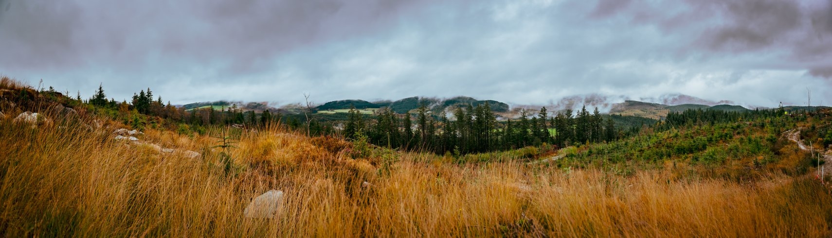 Coed y Brenin - Coed y Brenin added a new photo — at Coed...