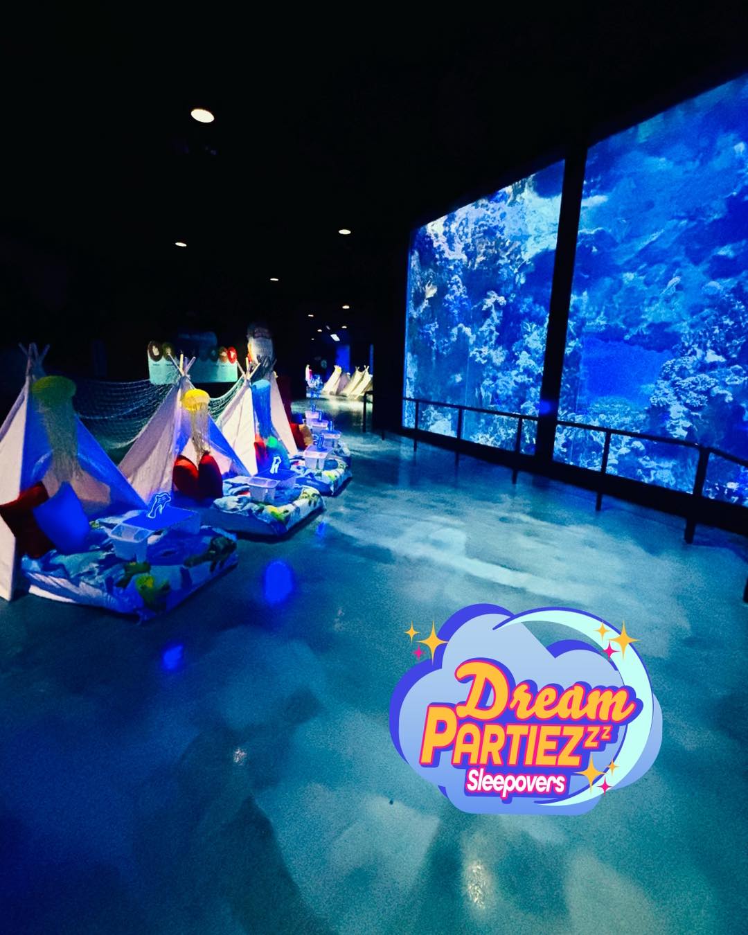 Dream Partiezzz Sleepovers-Texas' Premier Sleepover Company | San